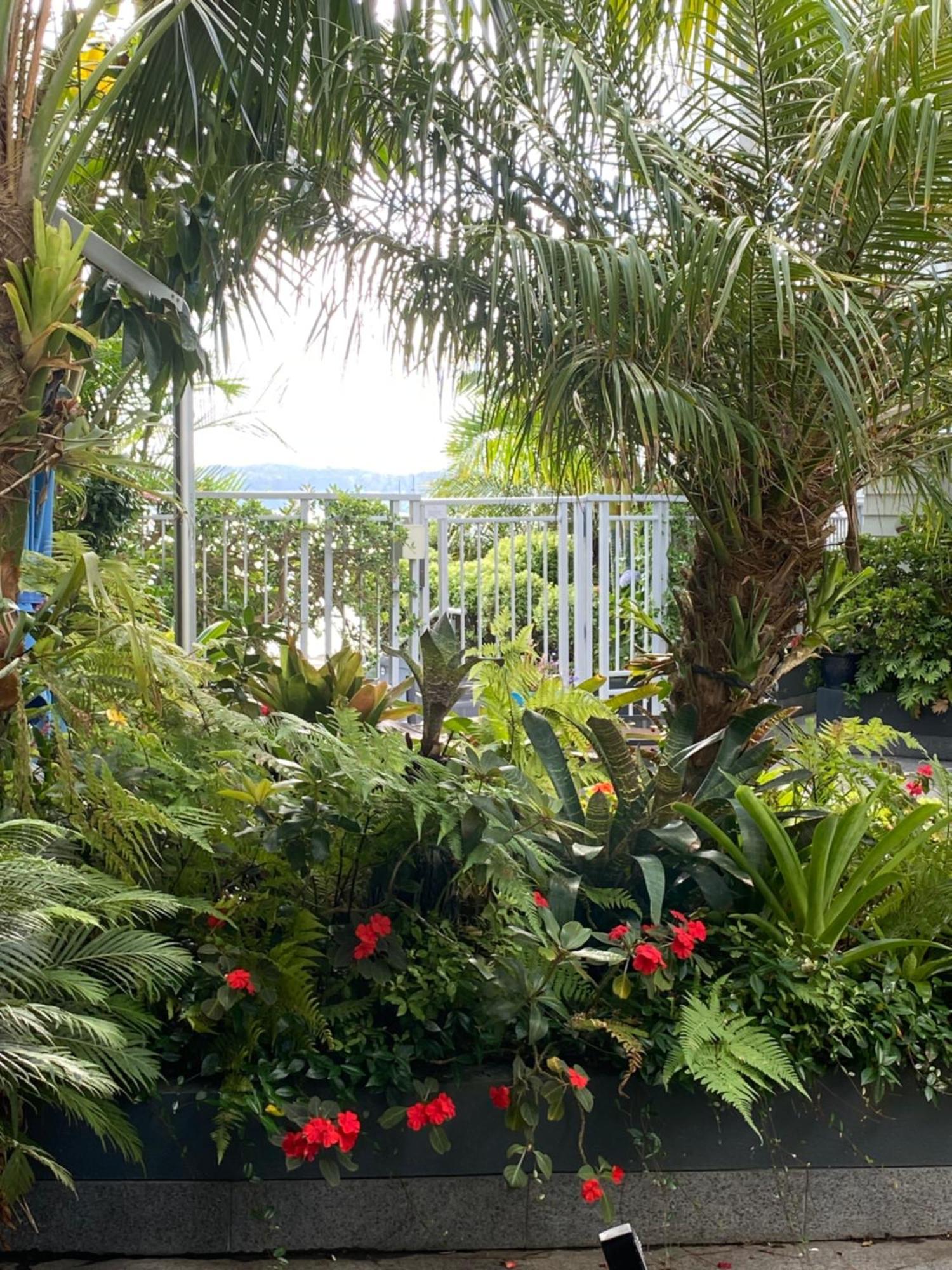 By The Sea Apartment Paihia Luaran gambar